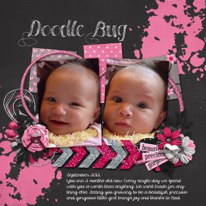 Doodle Bug 2 months old