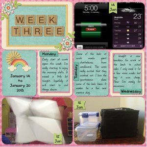 Week 3a 2013