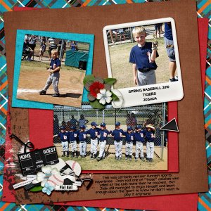 JoshBaseball2010