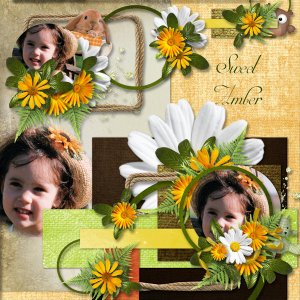 Sweet Amber