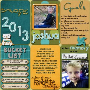 Joshua 2013