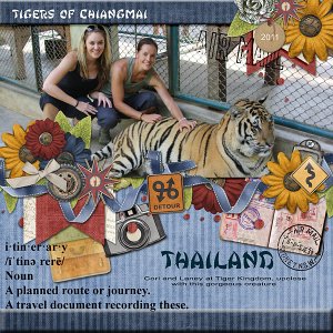 Tigers of Chiangmai