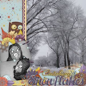 Catching Snowflakes