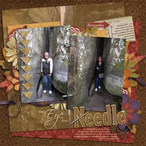 Eye of the Needle
