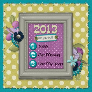 2013:  This year I will...