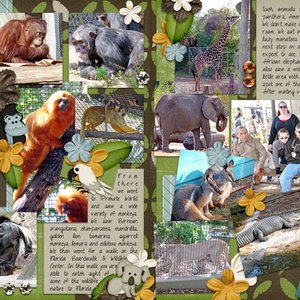 Zoo Time
