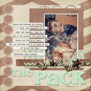 013-01-13-ThePackByCFALBRO
