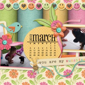 Feb 2013 Desktop Challenge