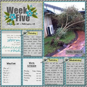 Week 5a