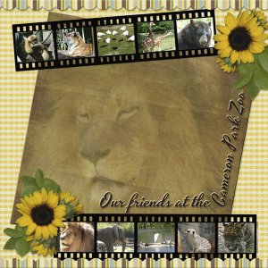 Our friends at the Cameron Park Zoo
