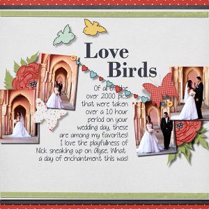 Love Birds