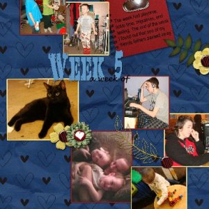 week 5