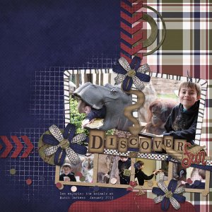 Discover Fun