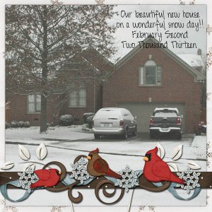 snowfall in Franklin