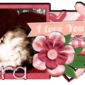 Feb siggy