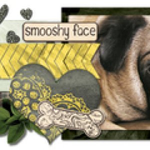 Jacque's Feb 2013 siggy