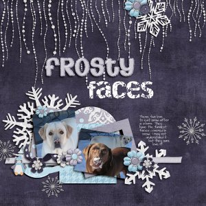 Frosty Faces