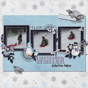 Winter Schlitten fahren