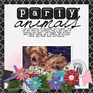 020-02-13-PartyAnimalsByCFALBRO