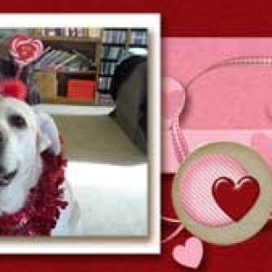 feb-2013-siggy