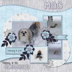 MAC - happily in his element