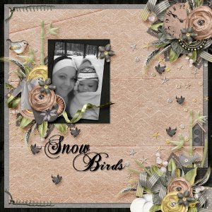 Snow Birds