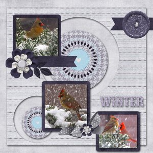 February Daily Download Challenge