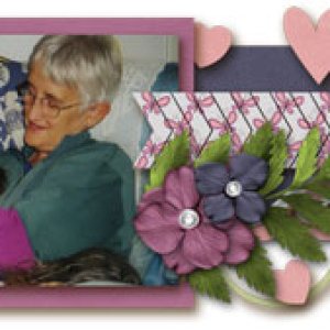 feb siggy