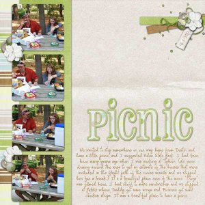 picnic