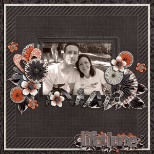 Love of a Lifetime
