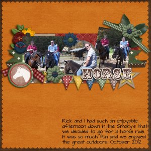 Riding Horses