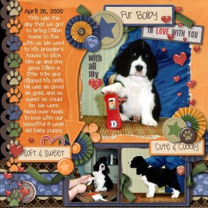 Fur Baby - In love with U