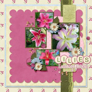 Lilies