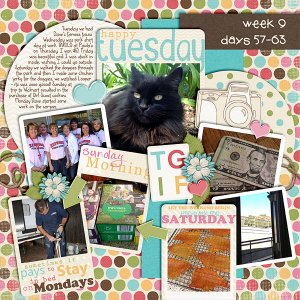 2013 - Week 9