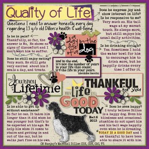 Quality of Life