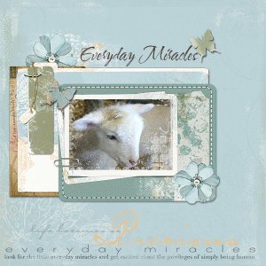 Everyday Miracles