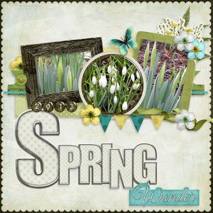 Spring_Wonder