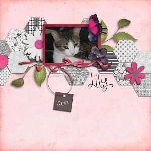 Lily