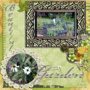 Beautiful Garden