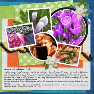 2013_Week10