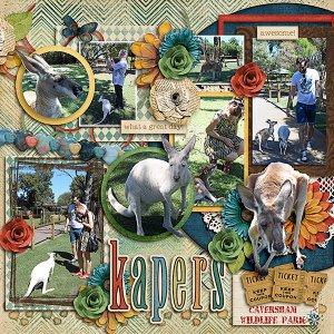Kangaroo Kapers right side