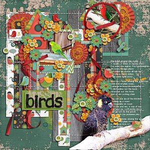 Aussie Birds