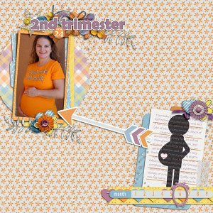2nd Trimester