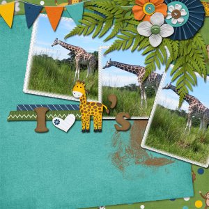 I Love Giraffes