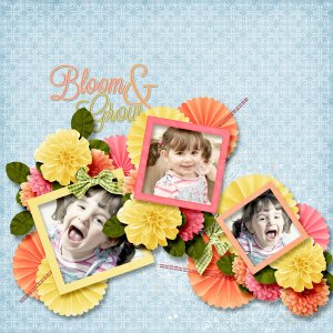 Bloom and Grow