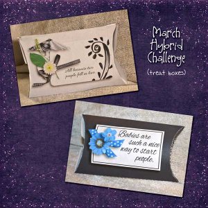 Baby Shower Favors - Treat Boxes