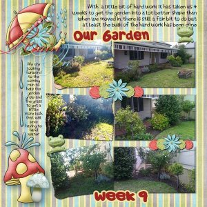 Our Garden week 9