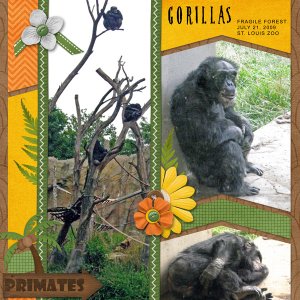 Gorillas