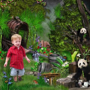 Pandas