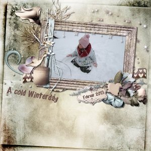 A cold winterday